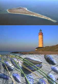 Anholt Bildermix